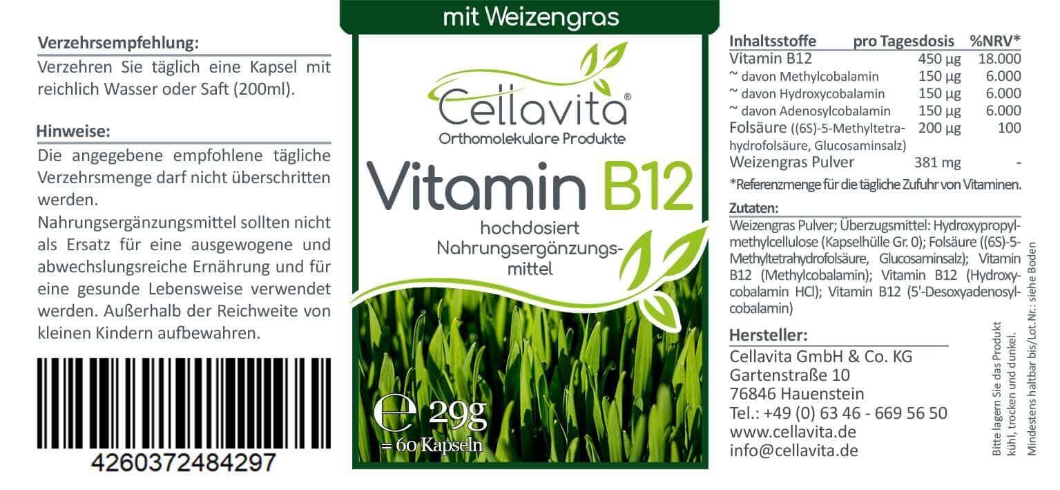 beschreibung-vitb12 blank