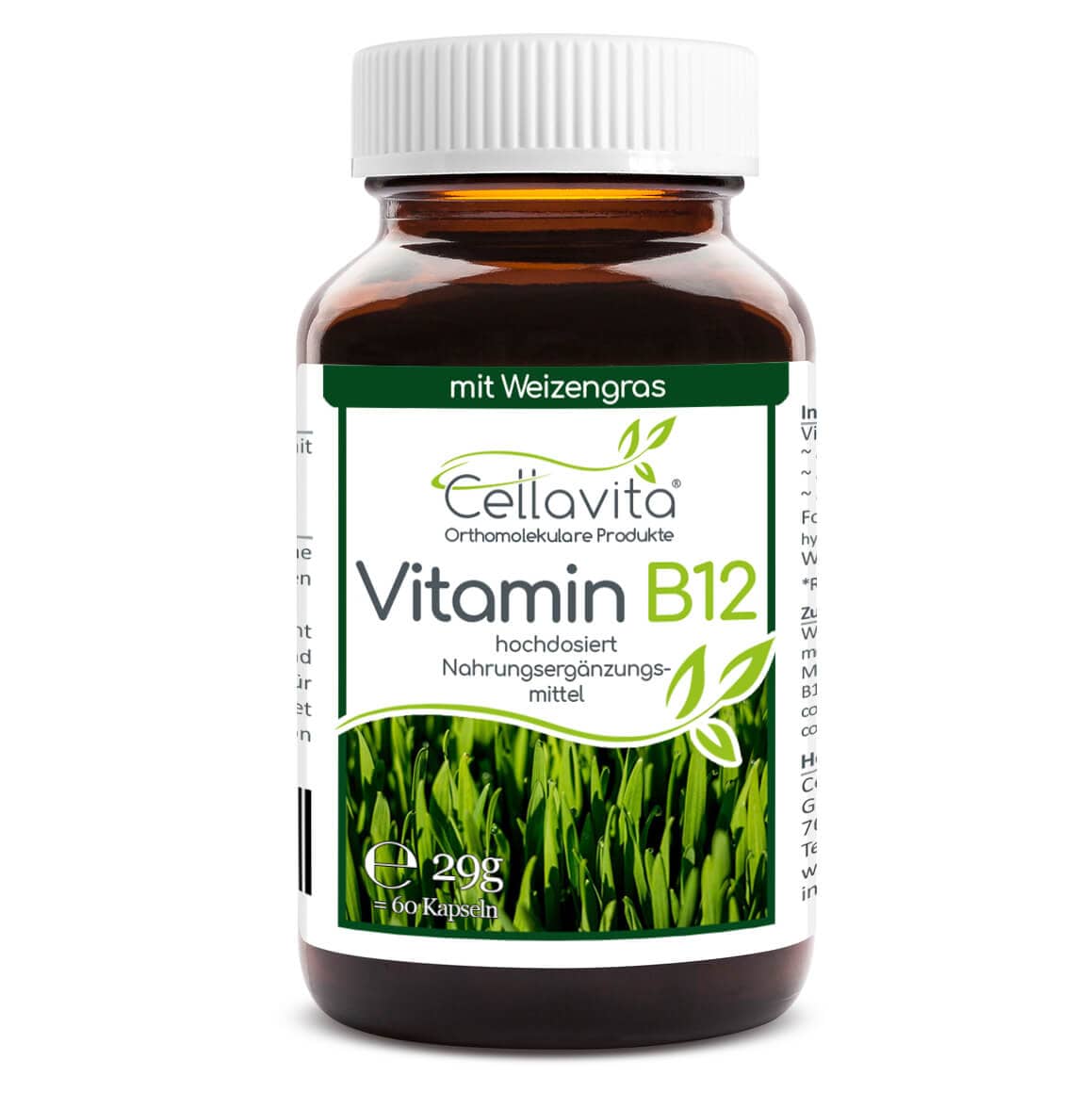 vit.b12 blank